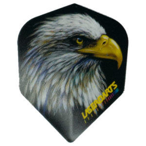Laserdarts Eagle Flight