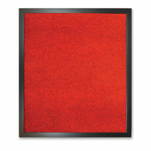 Red Dartboard Surround