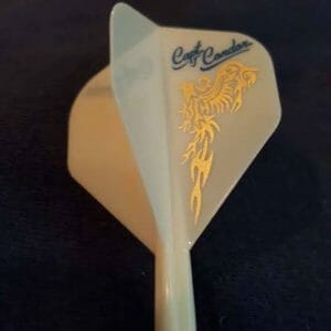 Captain Condor Flight and Shaft