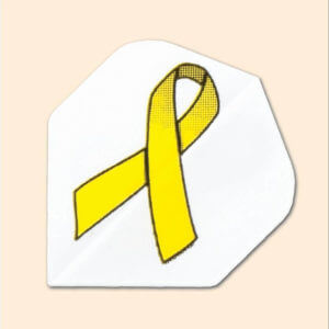 Charity Flight