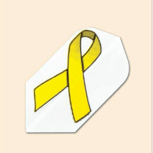 Charity Flight