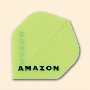 Amazon-Ruthless Flights