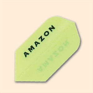 Amazon-Ruthless Flights