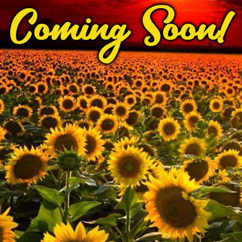Coming Soon!