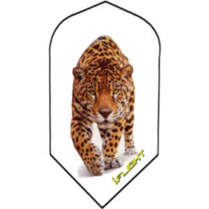 I-Flights Leopard Flight